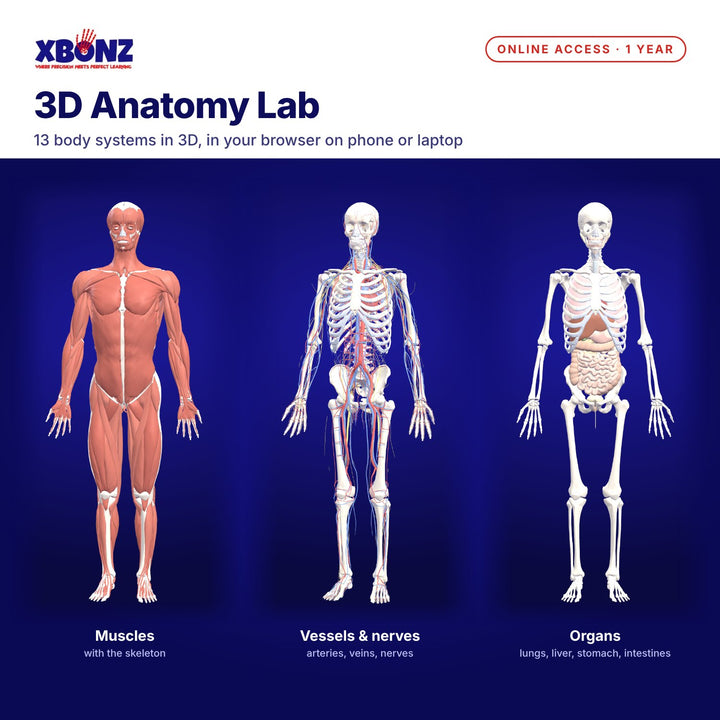 Anatomy Lab: 1 Year Full Access